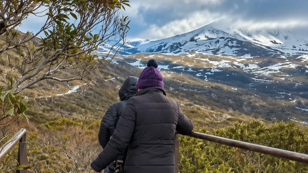 Tours & Packages 5 tours gallery 04 snowy mountains lookout