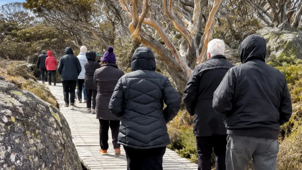 Snowy Mountains Tour Accommodation | Life of Riley Tours 8 tours included guided snowy mountains tours